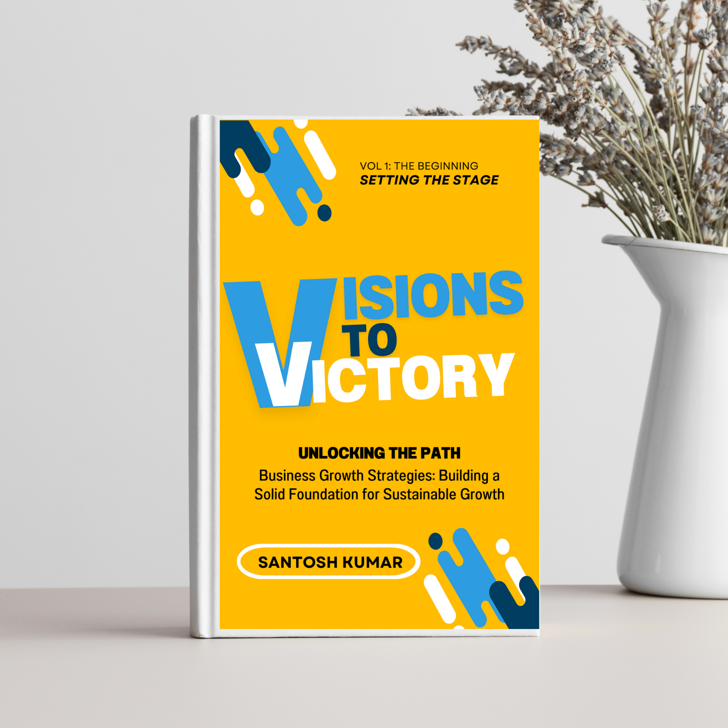 Vision to Victory Book 2
