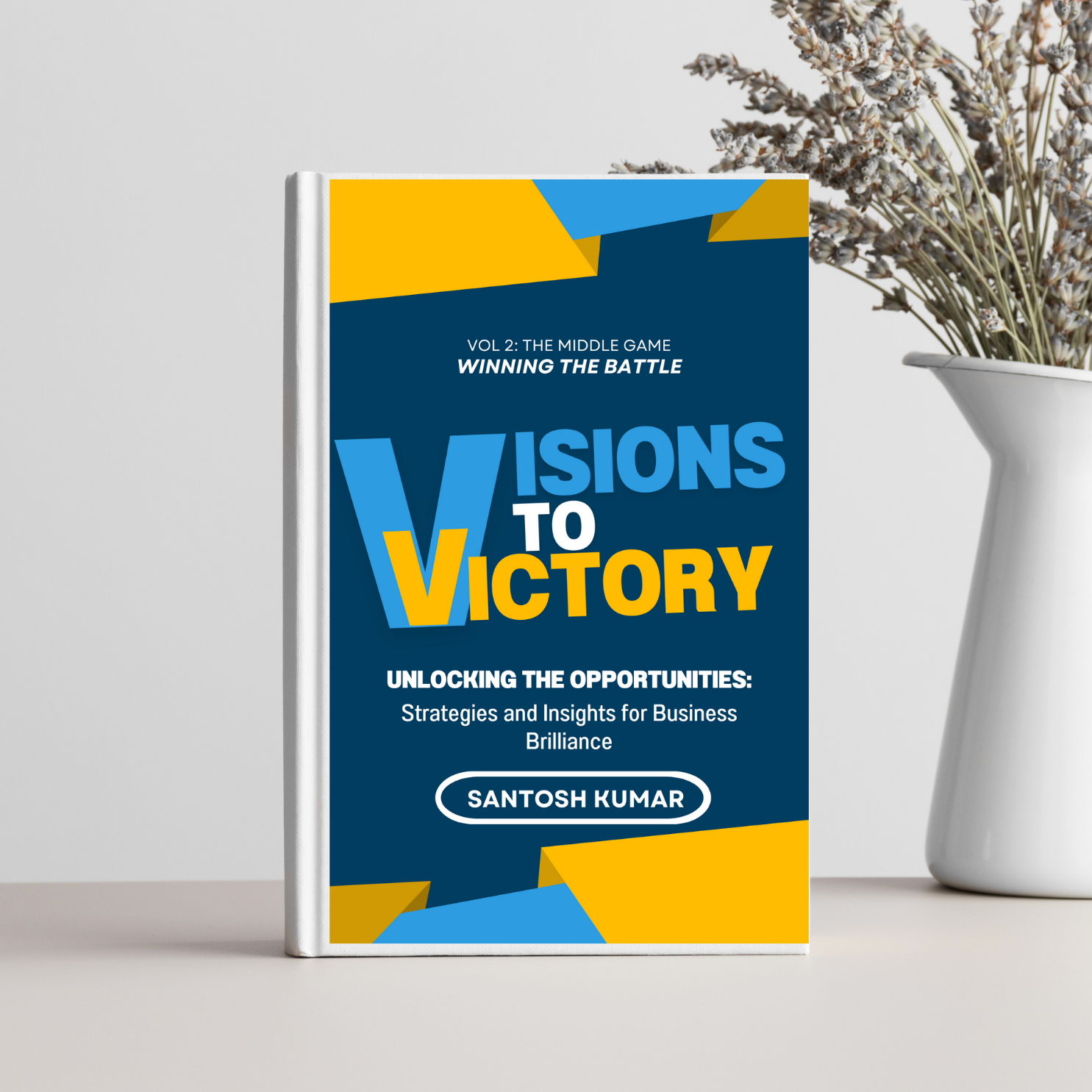 Vision to Victory Book 1
